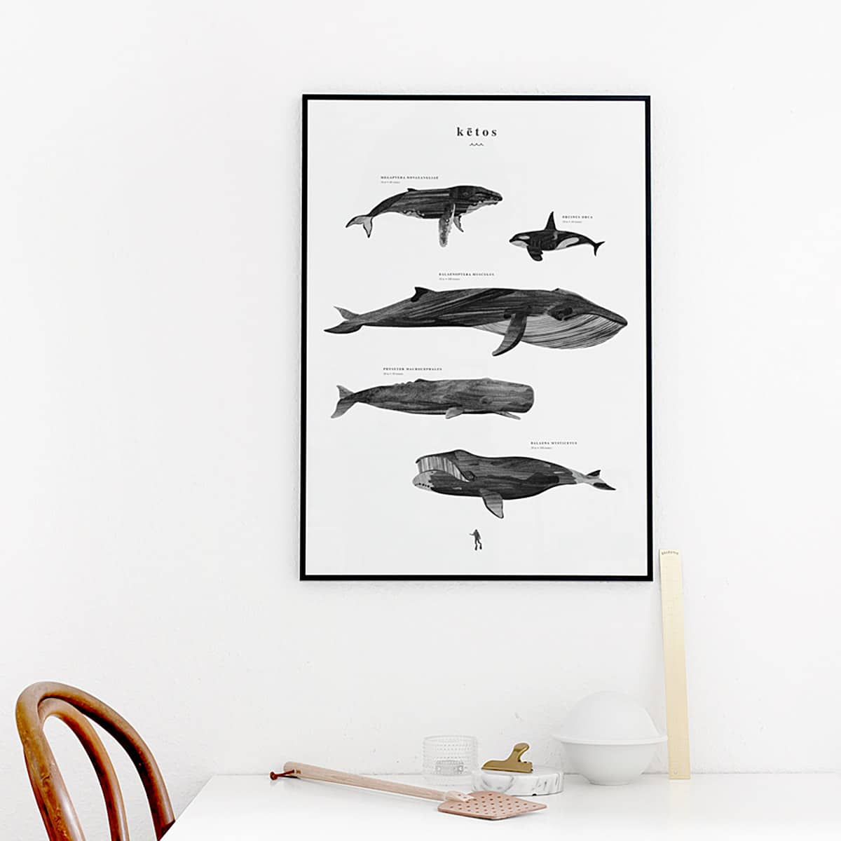 Affiche poster baleine, KETOS