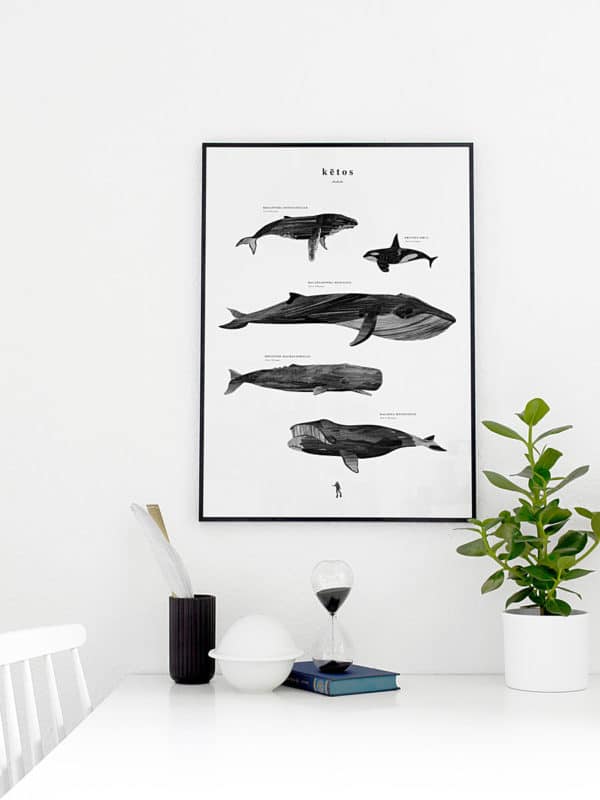 Affiche poster baleine, KETOS