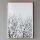 Affiche poster Snowy Tree