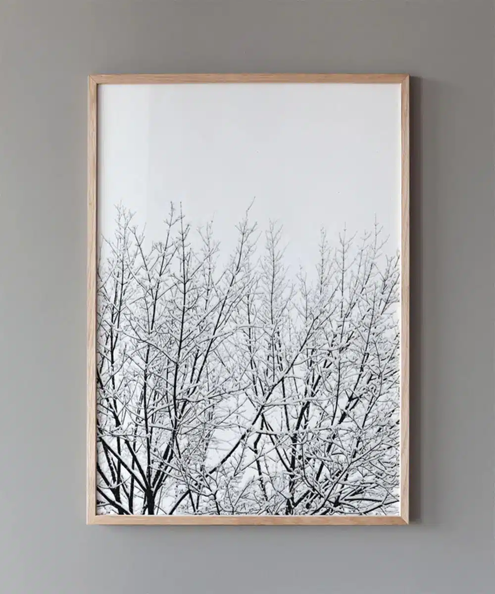 Affiche poster Snowy Tree