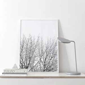 Affiche poster Snowy Tree
