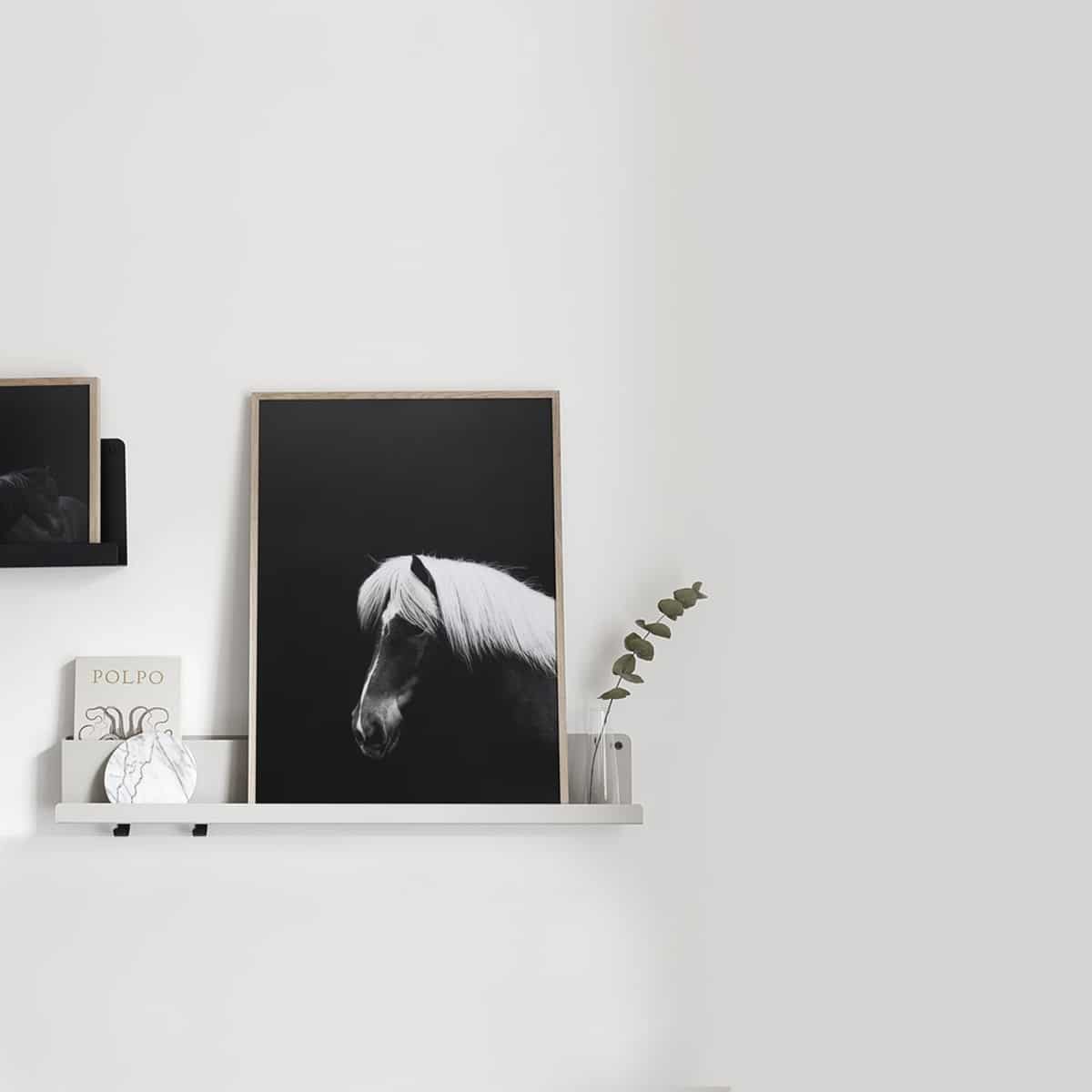 Affiche poster cheval chevaux noir blanc Cocolapine