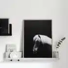 Affiche poster cheval, Hestur noir blanc sombre