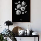 Affiche poster végétal, Paeonia officinalis