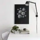 Affiche poster végétal, Paeonia officinalis