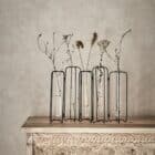 Vase éprouvette articulé, 5 tubes à essai, Gaura