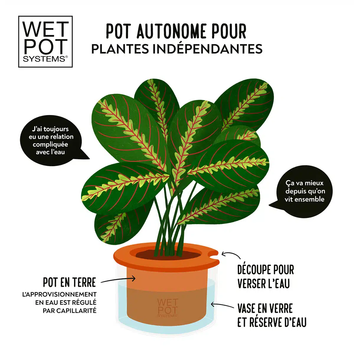 Fonctionnement pot WETPOT à réservoir d'eau en verre et ceramique