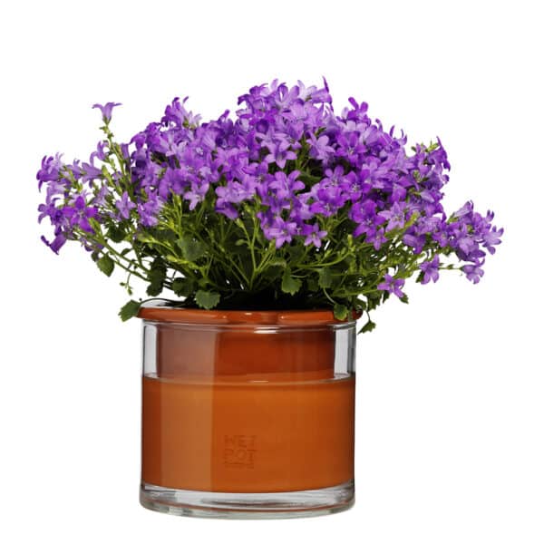 Pot WETPOT à réservoir d'eau en verre et ceramique