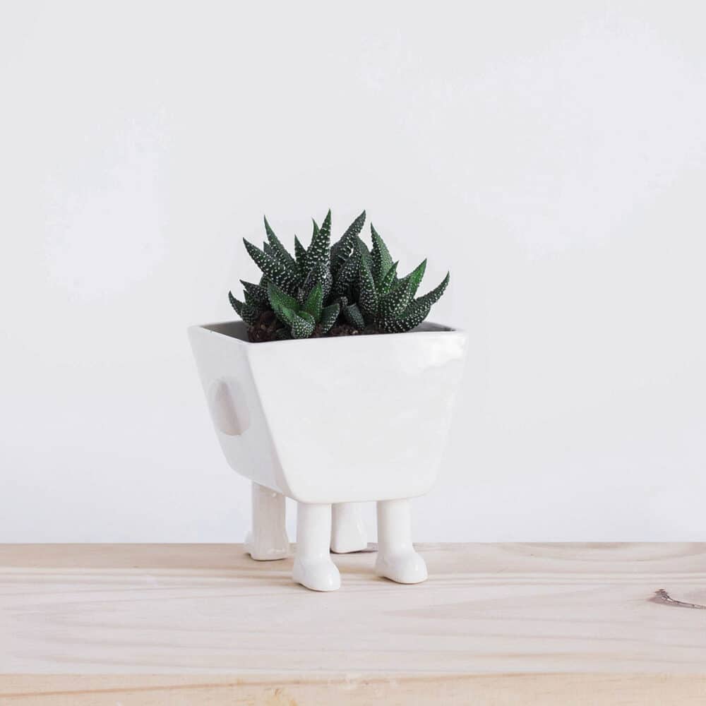 Pot Ou Cache-pot En Céramique Blanc – Déco Maison – Occasion