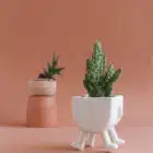 Cache pot original en céramique, artisanat espagnol