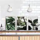 Affiche photo - green Home 04 50x70 - Paper Collective