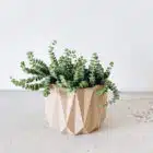 Cache pot éco responsable, ORIGAMI - Impression 3D