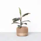 Cache pot éco responsable, Apple- Impression 3D