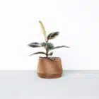 Cache pot éco responsable, OSLO- Impression 3D