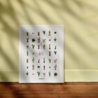 Affiche et illustration poster cactus, made in France