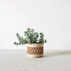 Cache pot en impression 3D