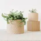 Cache pot en impression 3D