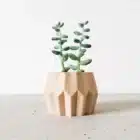 Cache pot en impression 3D