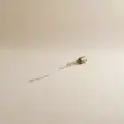 mèche brûleur en laiton peri living